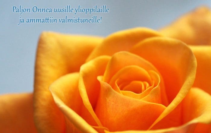 Kuvituskuva: Paljon onnea Kevään uudet ylioppilaat ja ammattiin valmistuneet