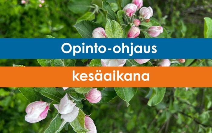 Opinto-ohjaus kesäaikana - artikkelikuva
